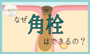 【毛穴エクストラクション】なぜ角栓はできるの?