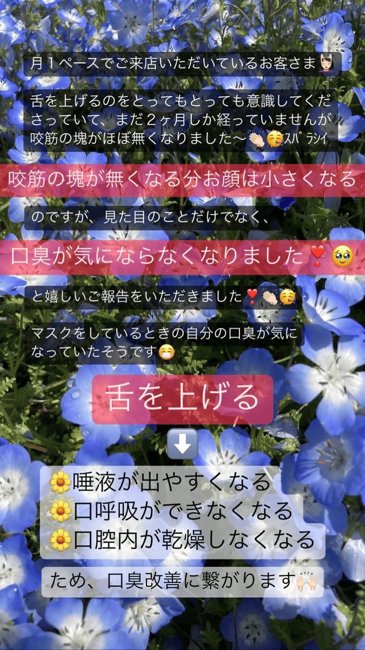 食いしばり・咬筋 舌の位置 その他