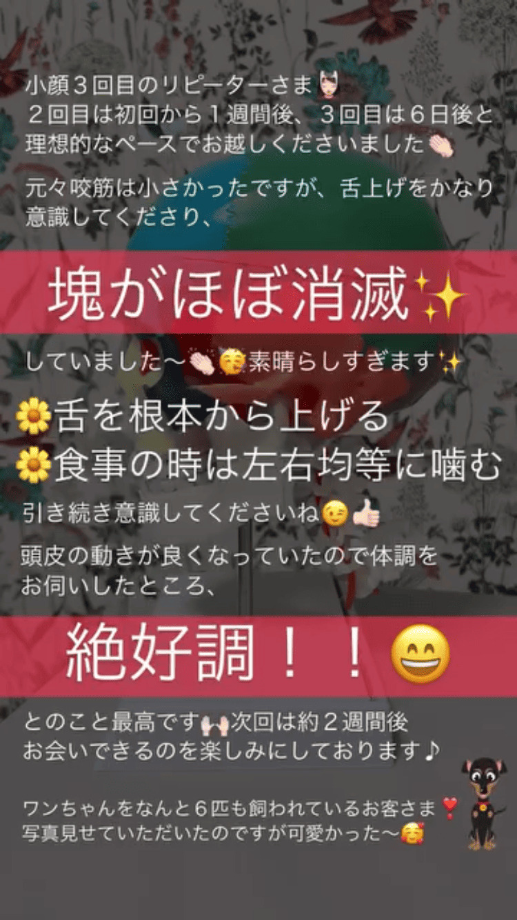 食いしばり・咬筋