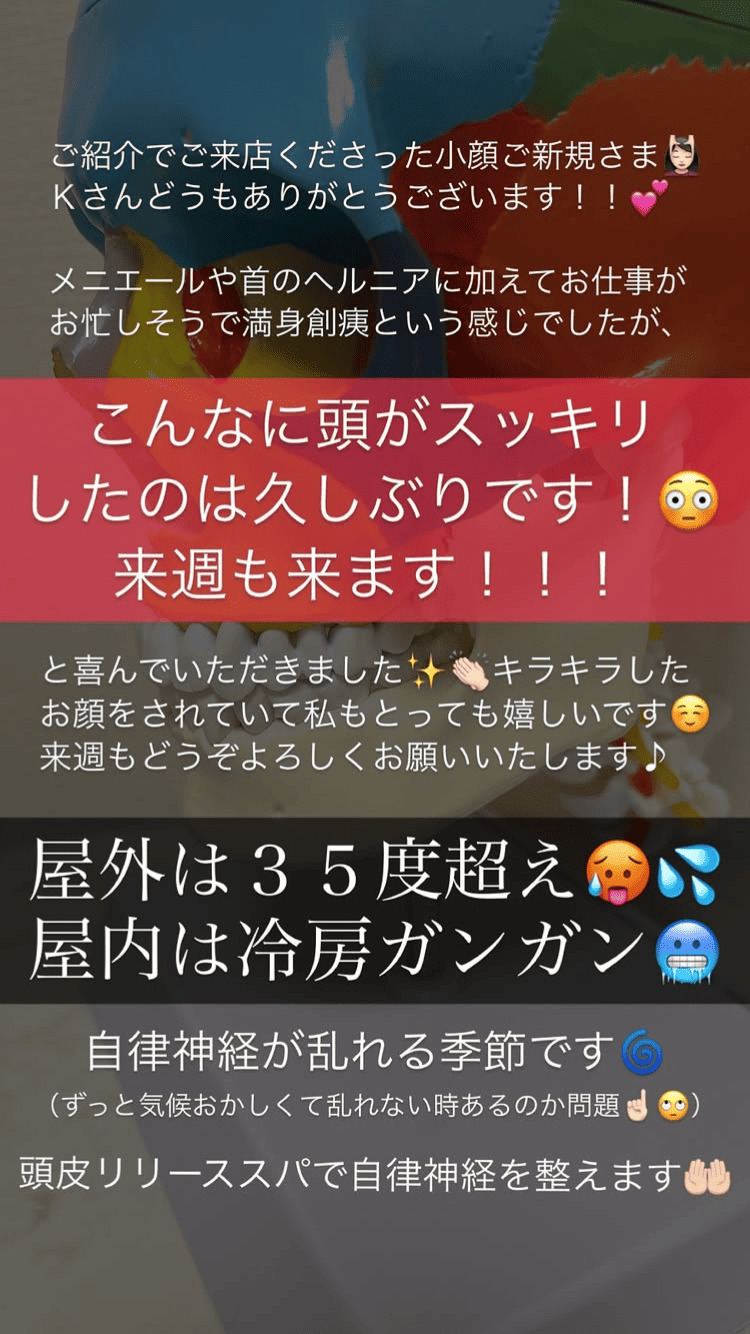 首・肩・体 頭痛 めまい・耳・鼻