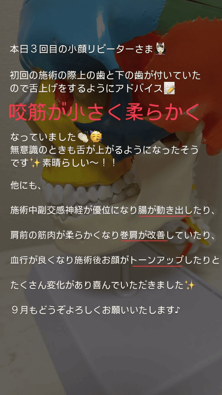 食いしばり・咬筋 お肌 首・肩・体 その他