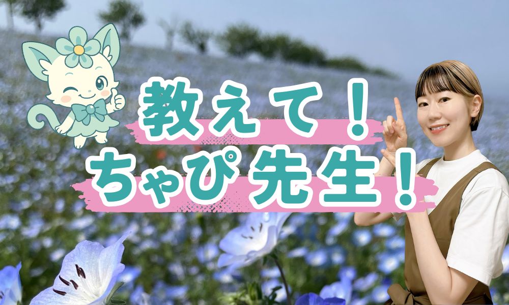 教えてちゃぴ先生！頭皮を緩めるとなぜ体調が良くなるの？🤔